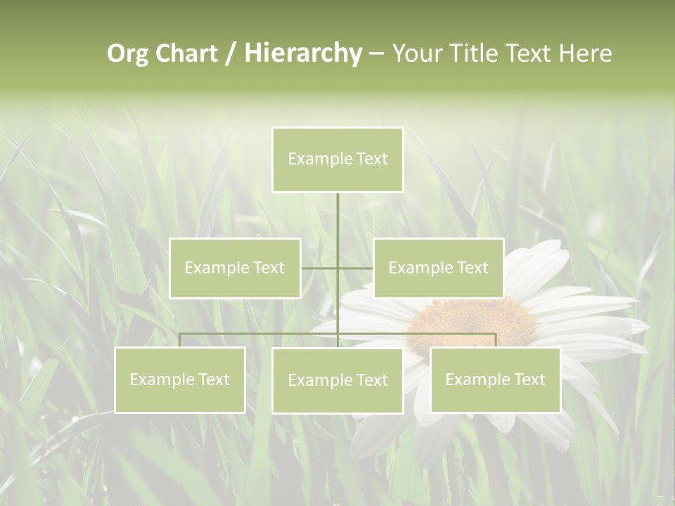 Sunlight Herbal Growth PowerPoint Template
