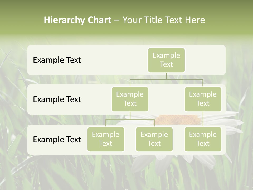 Sunlight Herbal Growth PowerPoint Template