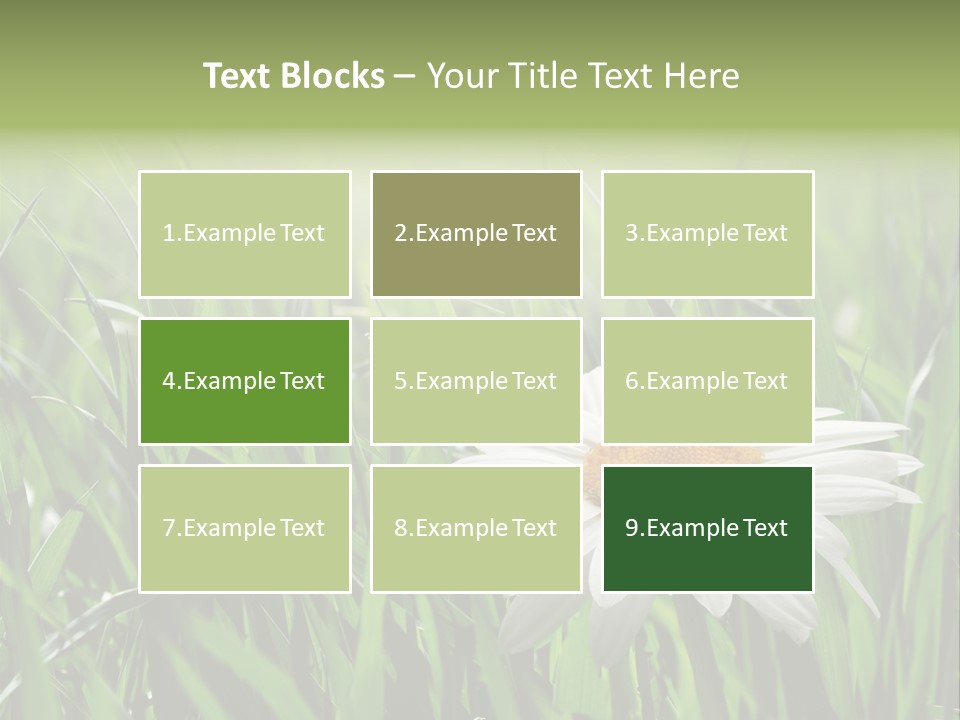 Sunlight Herbal Growth PowerPoint Template