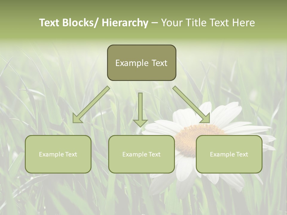 Sunlight Herbal Growth PowerPoint Template
