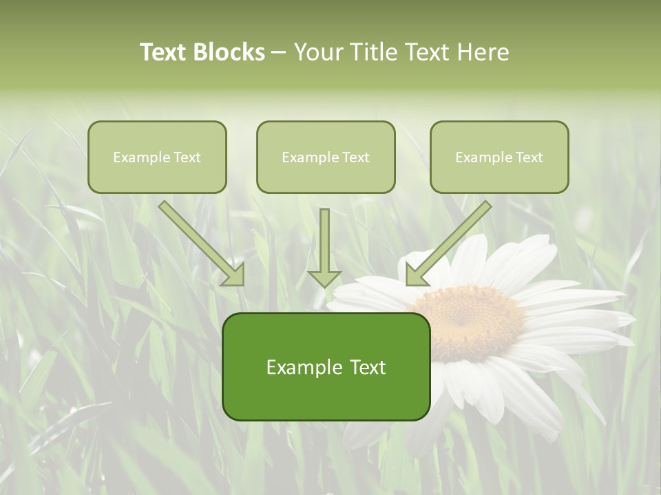 Sunlight Herbal Growth PowerPoint Template