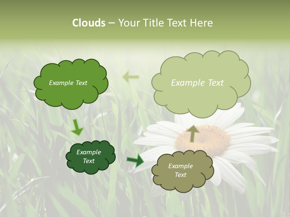 Sunlight Herbal Growth PowerPoint Template
