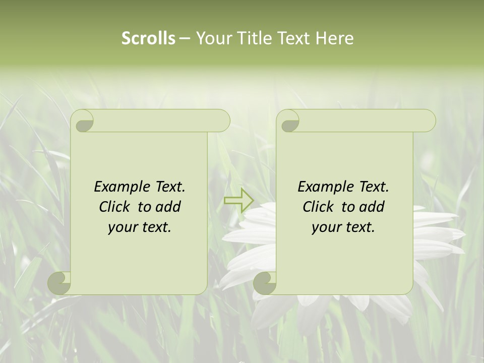 Sunlight Herbal Growth PowerPoint Template