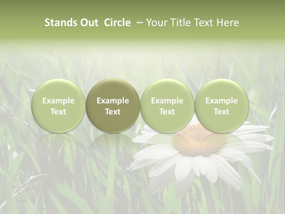 Sunlight Herbal Growth PowerPoint Template