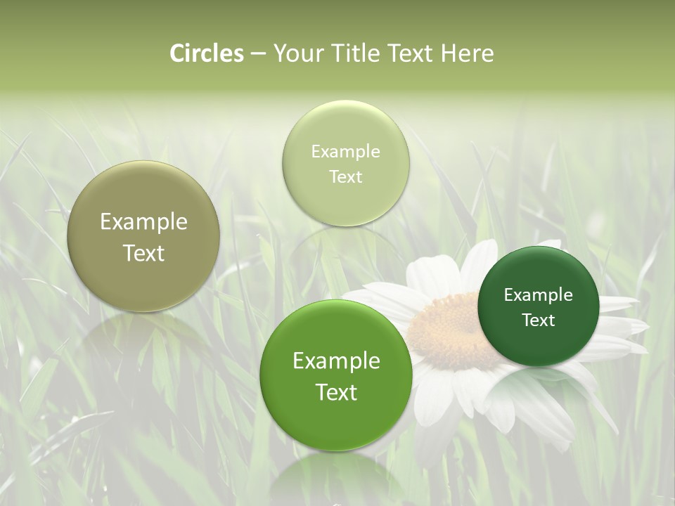 Sunlight Herbal Growth PowerPoint Template
