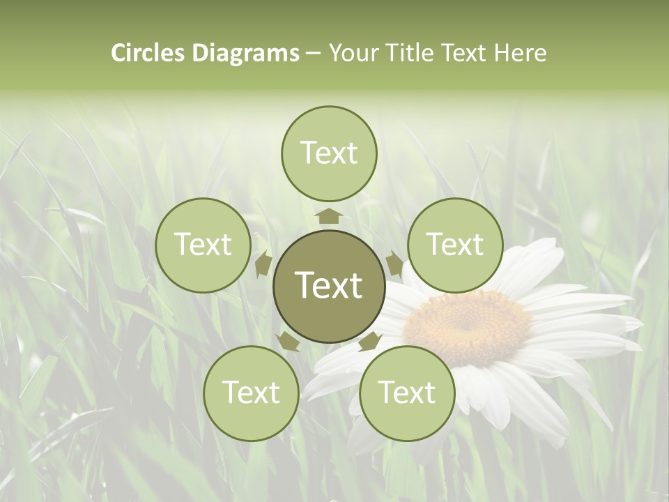 Sunlight Herbal Growth PowerPoint Template