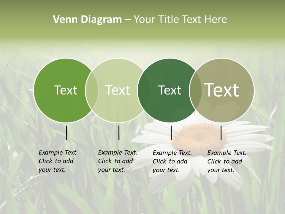 Sunlight Herbal Growth PowerPoint Template