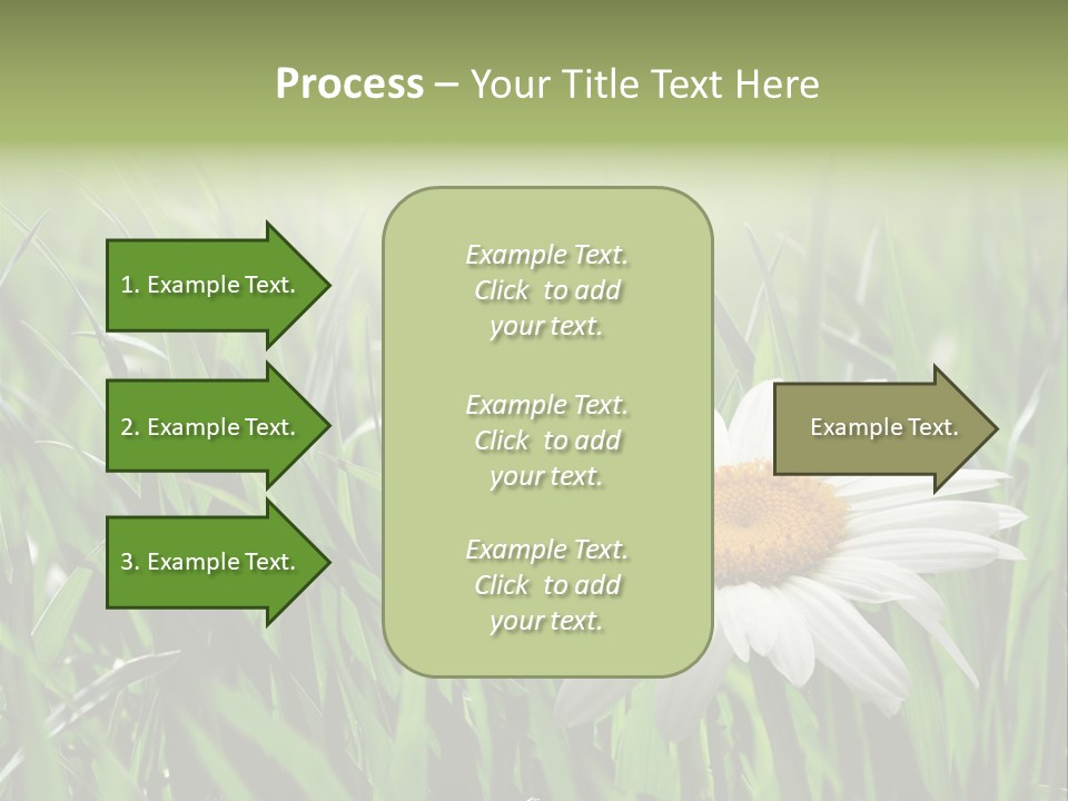 Sunlight Herbal Growth PowerPoint Template