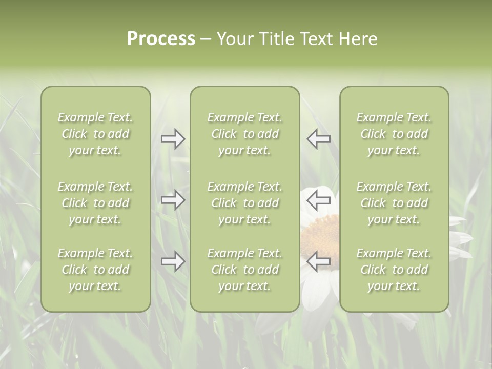 Sunlight Herbal Growth PowerPoint Template