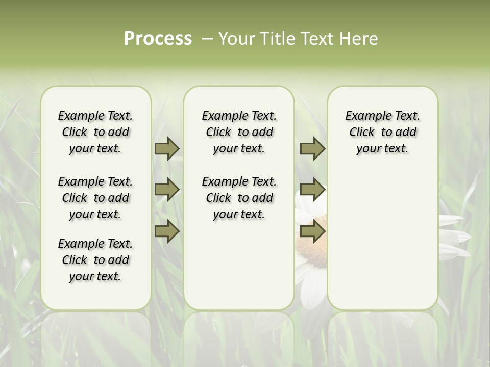 Sunlight Herbal Growth PowerPoint Template