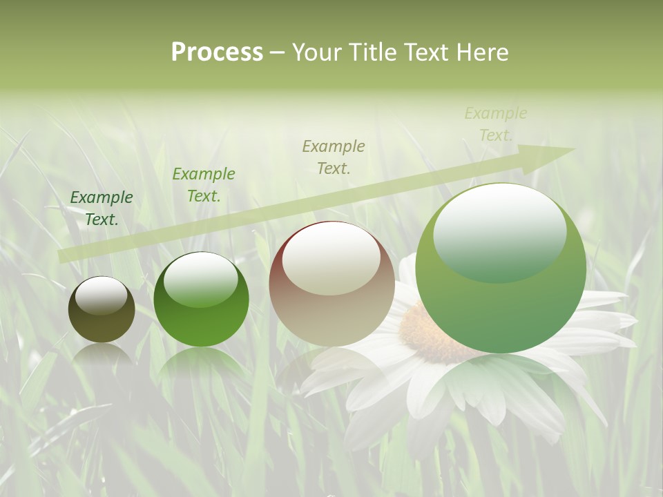 Sunlight Herbal Growth PowerPoint Template