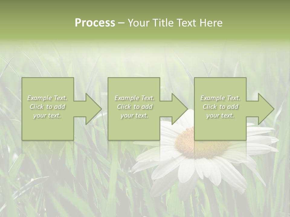 Sunlight Herbal Growth PowerPoint Template