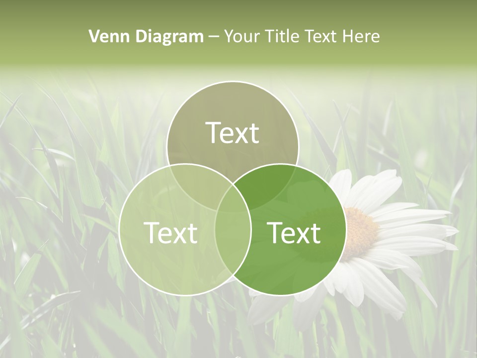 Sunlight Herbal Growth PowerPoint Template