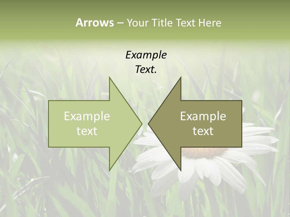 Sunlight Herbal Growth PowerPoint Template