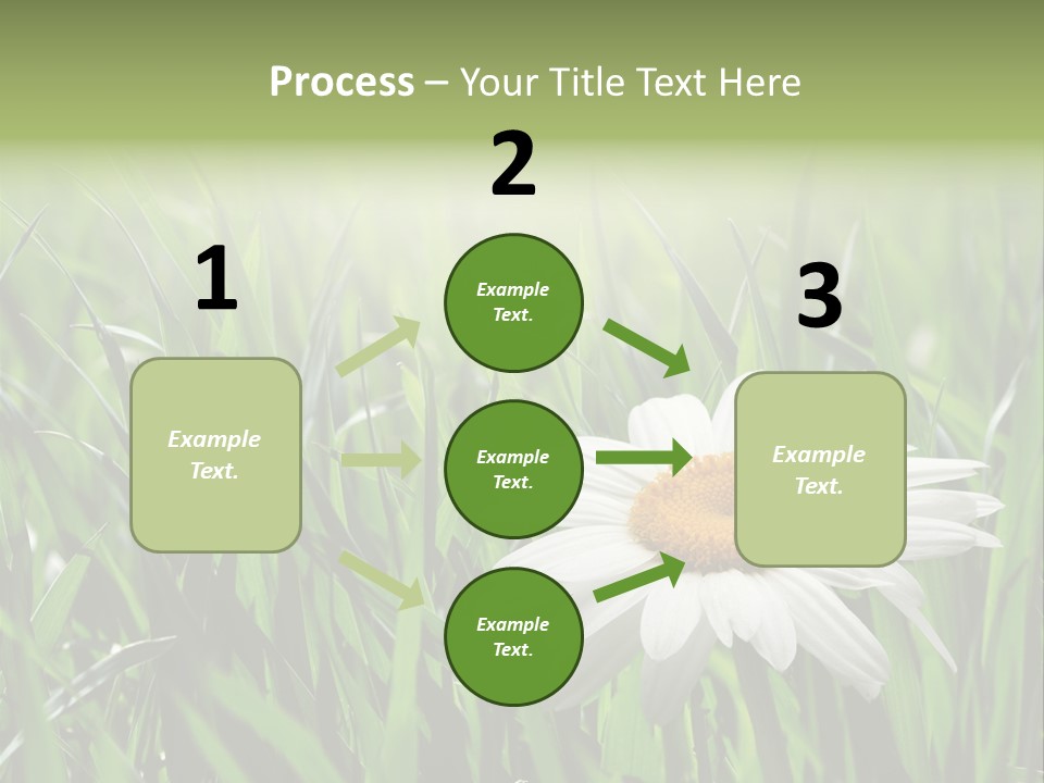 Sunlight Herbal Growth PowerPoint Template