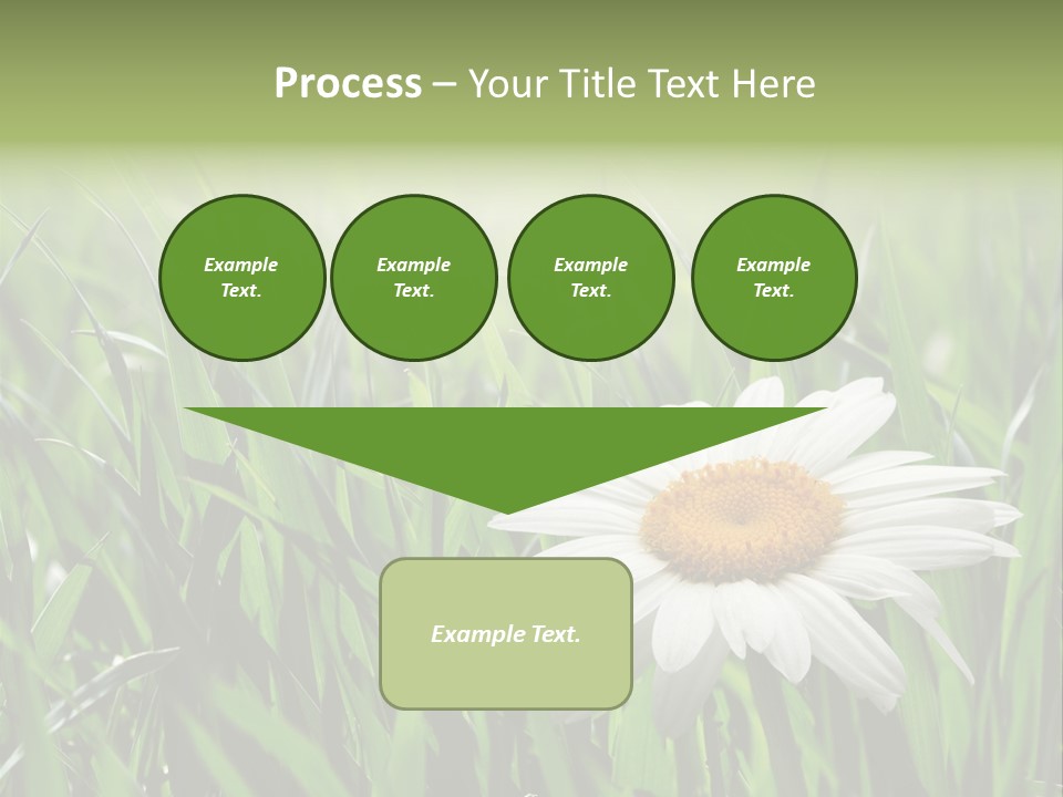 Sunlight Herbal Growth PowerPoint Template