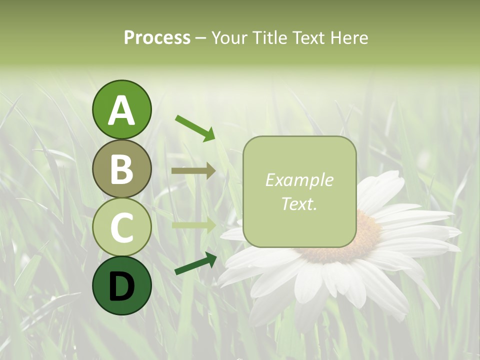 Sunlight Herbal Growth PowerPoint Template