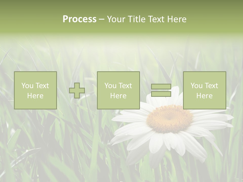 Sunlight Herbal Growth PowerPoint Template