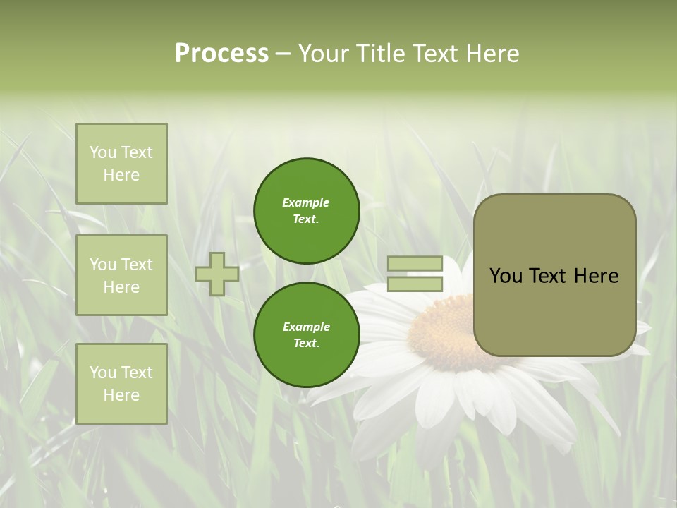 Sunlight Herbal Growth PowerPoint Template