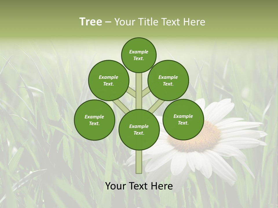 Sunlight Herbal Growth PowerPoint Template