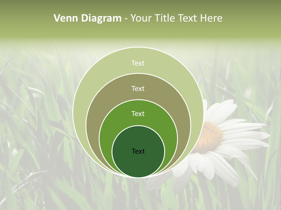 Sunlight Herbal Growth PowerPoint Template