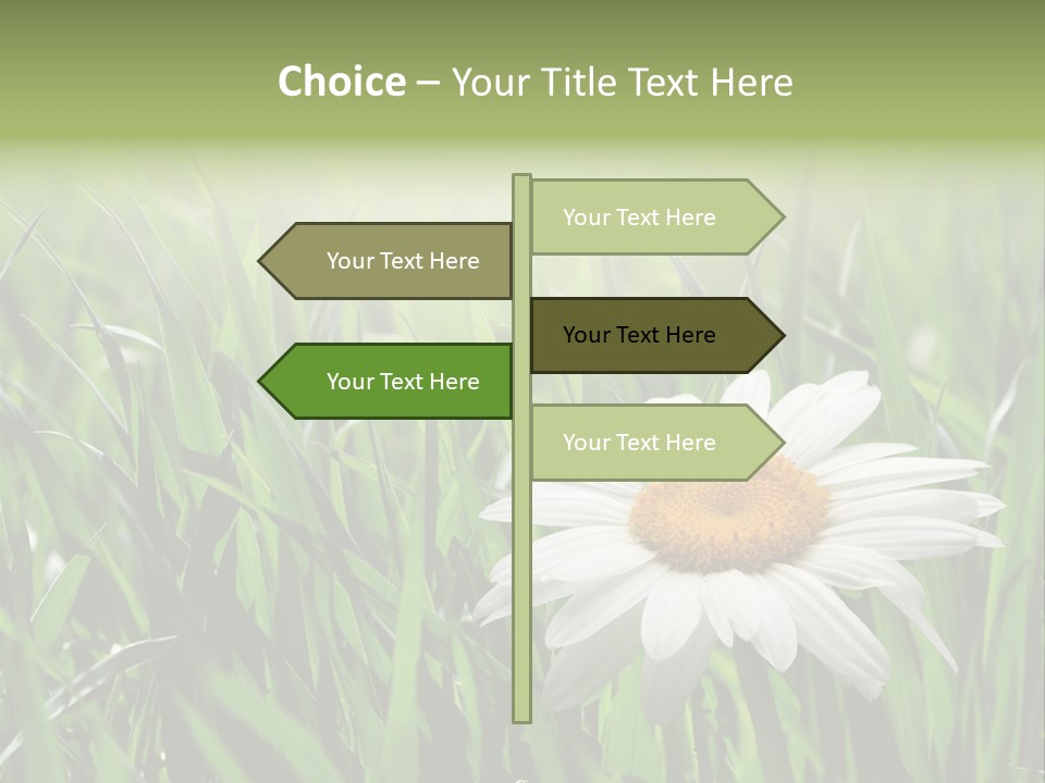 Sunlight Herbal Growth PowerPoint Template