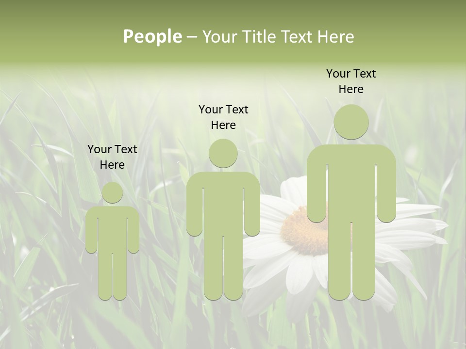 Sunlight Herbal Growth PowerPoint Template