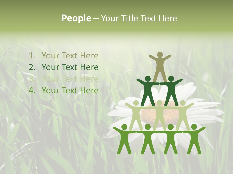 Sunlight Herbal Growth PowerPoint Template