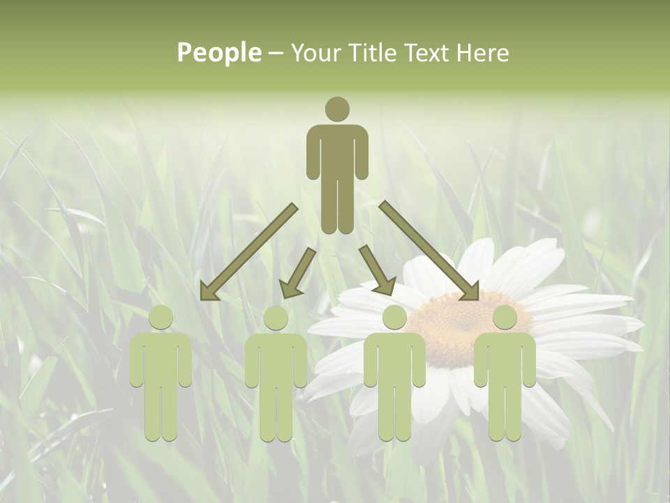 Sunlight Herbal Growth PowerPoint Template