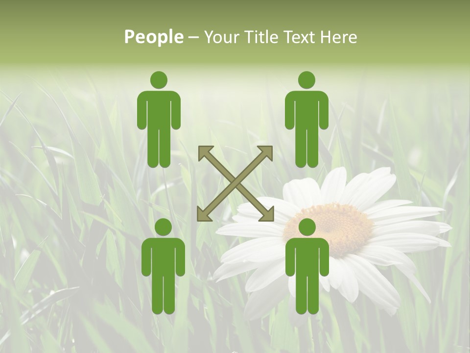 Sunlight Herbal Growth PowerPoint Template