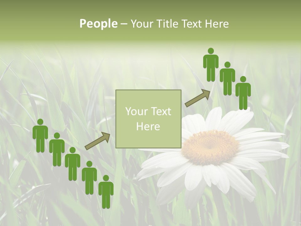 Sunlight Herbal Growth PowerPoint Template