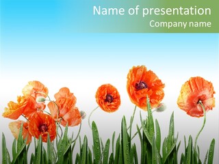 Red Vitality Bloom PowerPoint Template