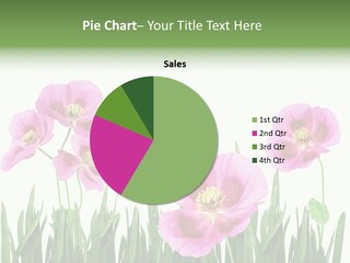 Bloom Pink Flower PowerPoint Template