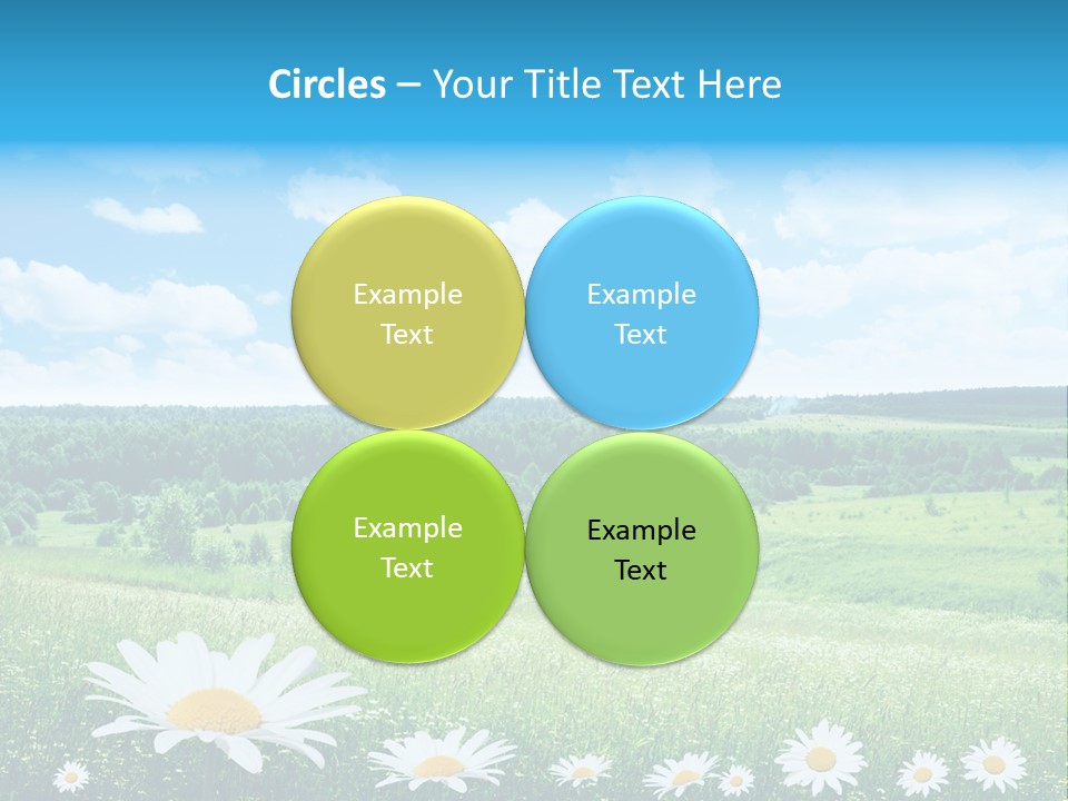 Forest Landscape Daisy PowerPoint Template