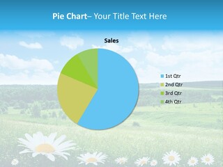 Forest Landscape Daisy PowerPoint Template