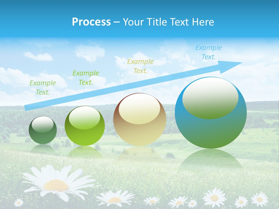 Forest Landscape Daisy PowerPoint Template