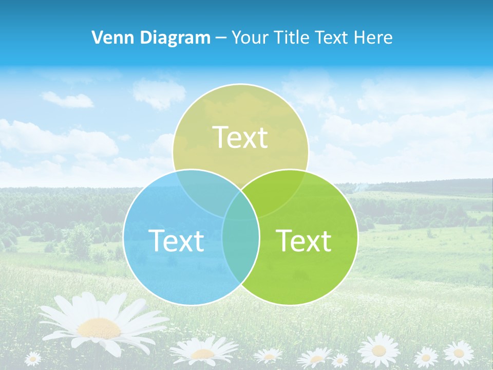 Forest Landscape Daisy PowerPoint Template