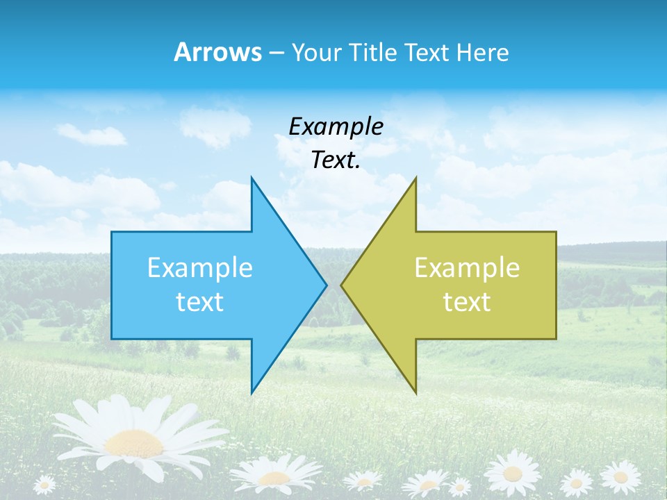 Forest Landscape Daisy PowerPoint Template