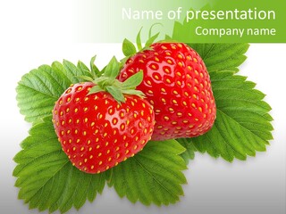 Delicious White Group PowerPoint Template