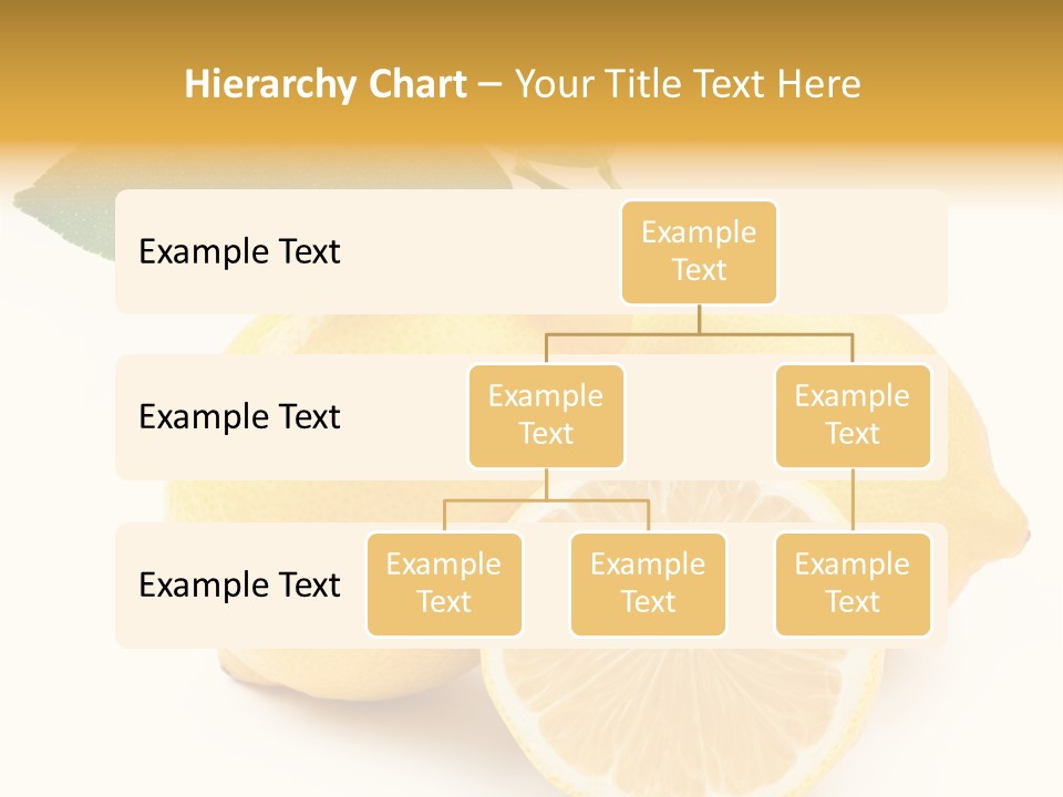 Macro Food Health PowerPoint Template