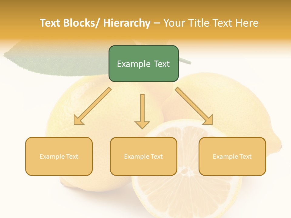 Macro Food Health PowerPoint Template