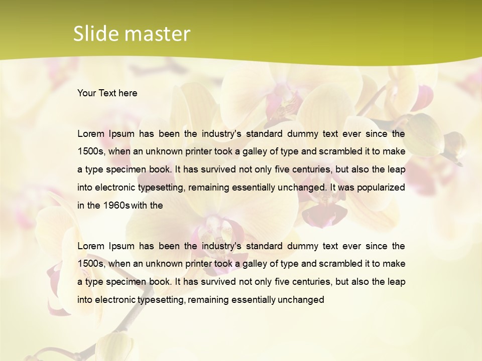 Nature Light Bokeh PowerPoint Template