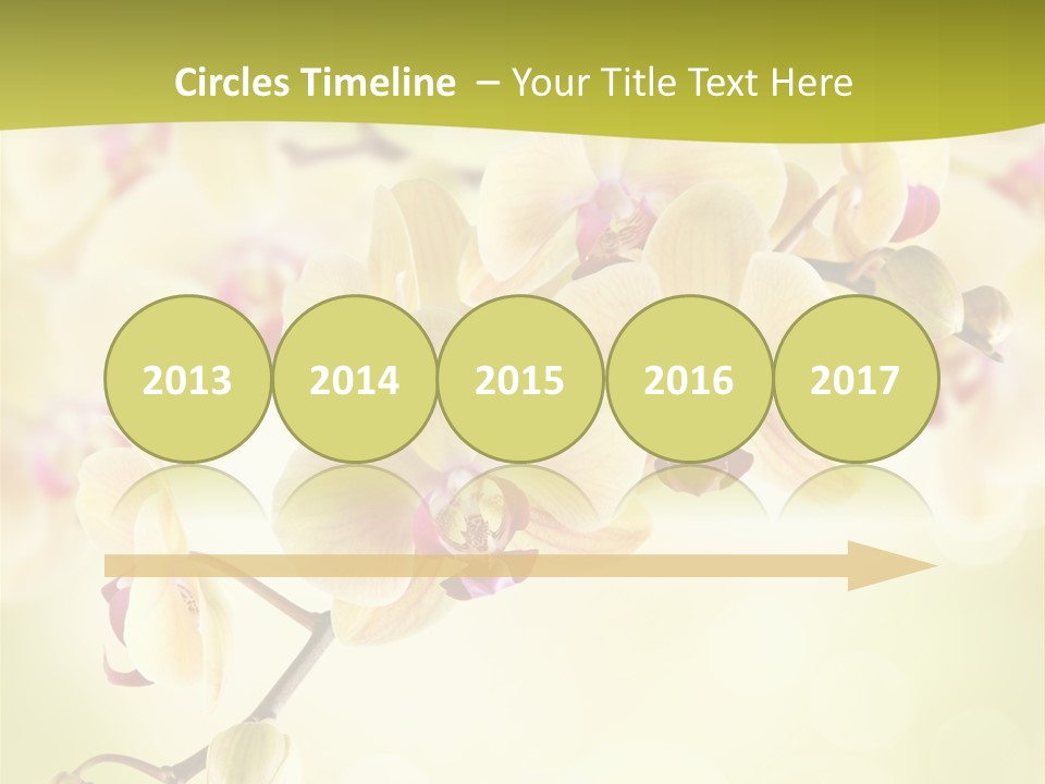 Nature Light Bokeh PowerPoint Template