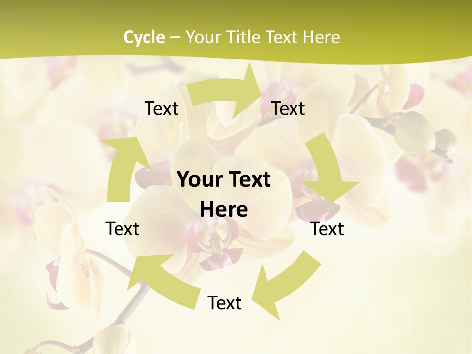 Nature Light Bokeh PowerPoint Template