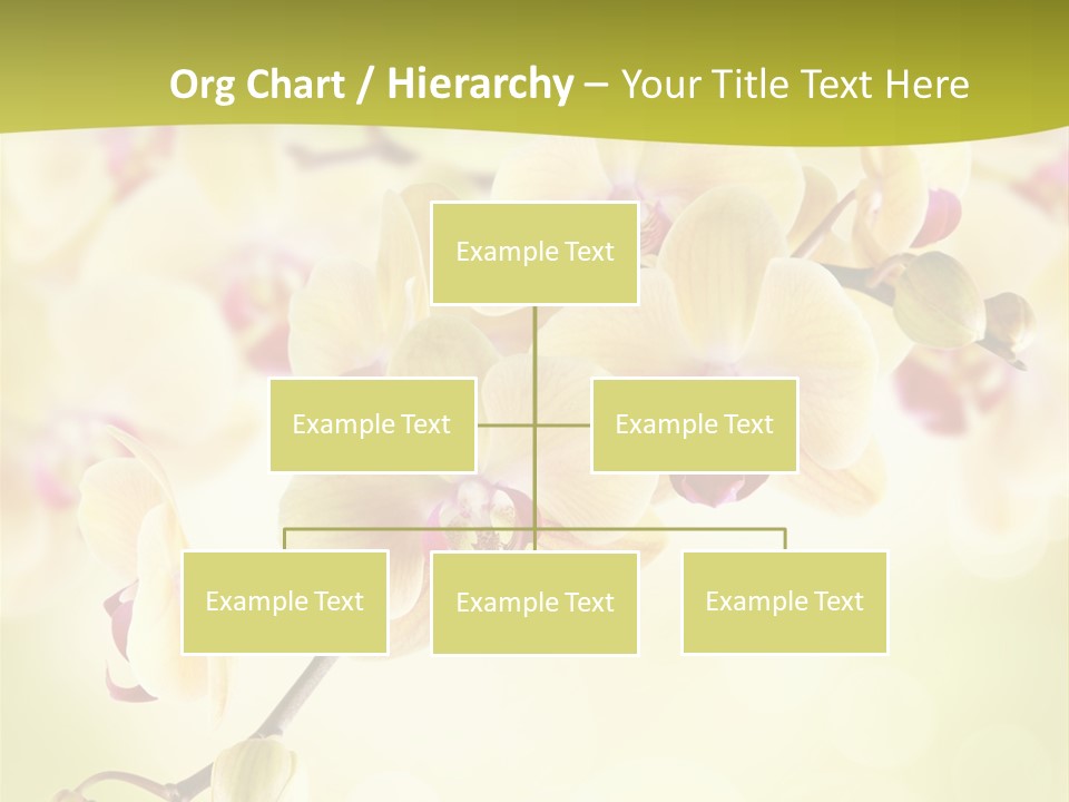 Nature Light Bokeh PowerPoint Template