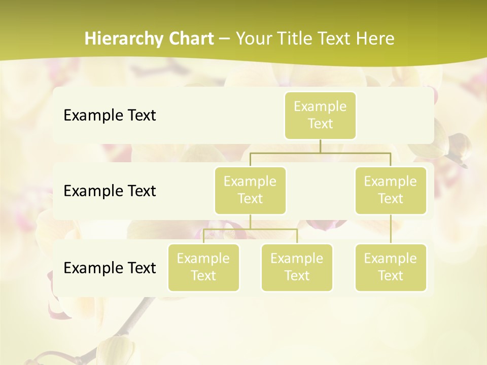 Nature Light Bokeh PowerPoint Template