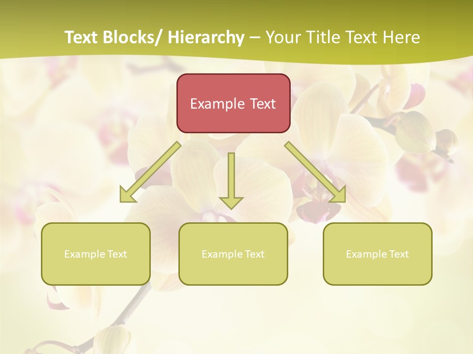 Nature Light Bokeh PowerPoint Template