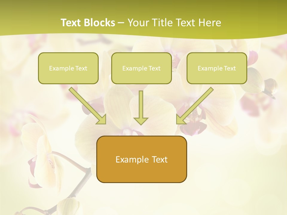 Nature Light Bokeh PowerPoint Template
