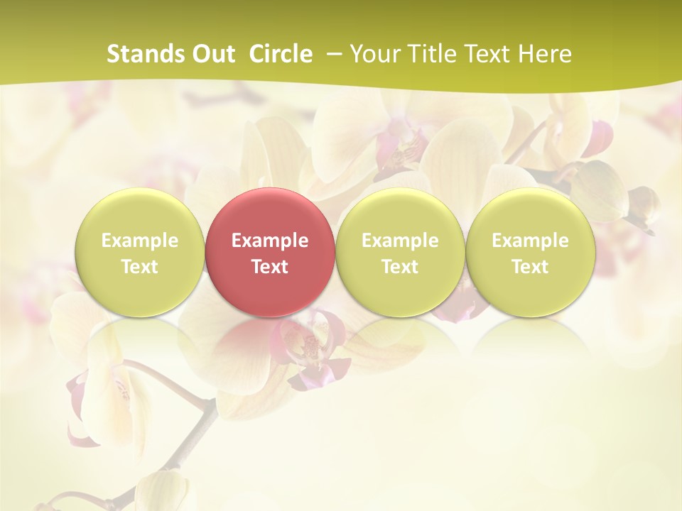 Nature Light Bokeh PowerPoint Template