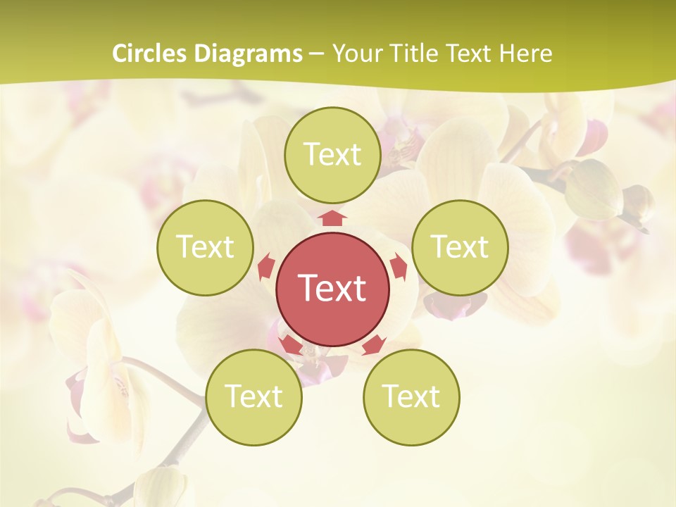 Nature Light Bokeh PowerPoint Template